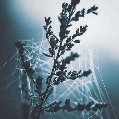 澳门新莆京游戏大厅手机app下载