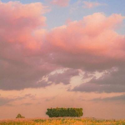 澳门新莆京游戏大厅手机app下载