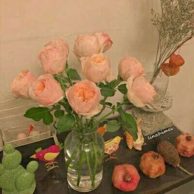 半岛综合官网App