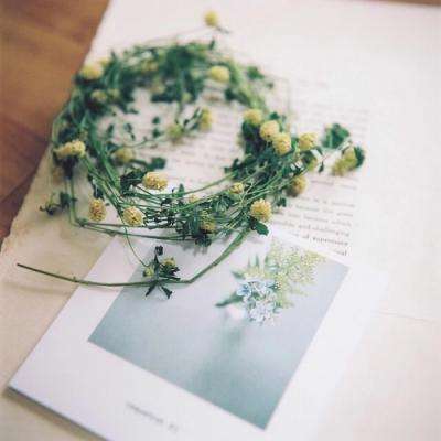 新乐动体育app下载官网