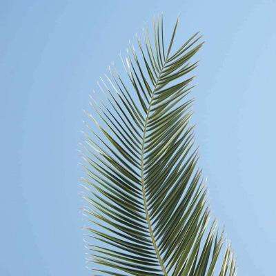 beat365平台手机app下载