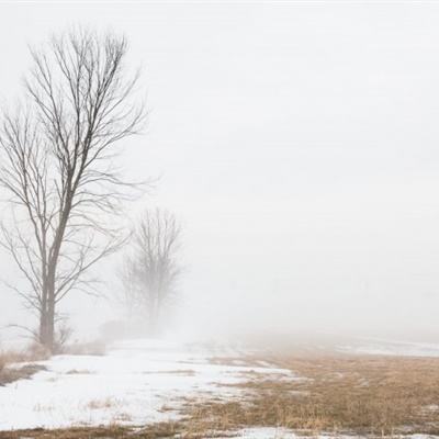 中欧体育app全站