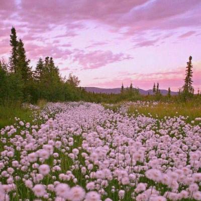 南宫28手机app下载