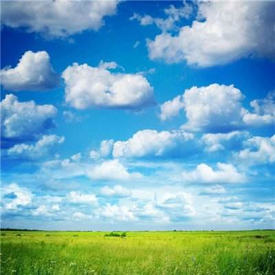 365平台官方版下载手机app下载